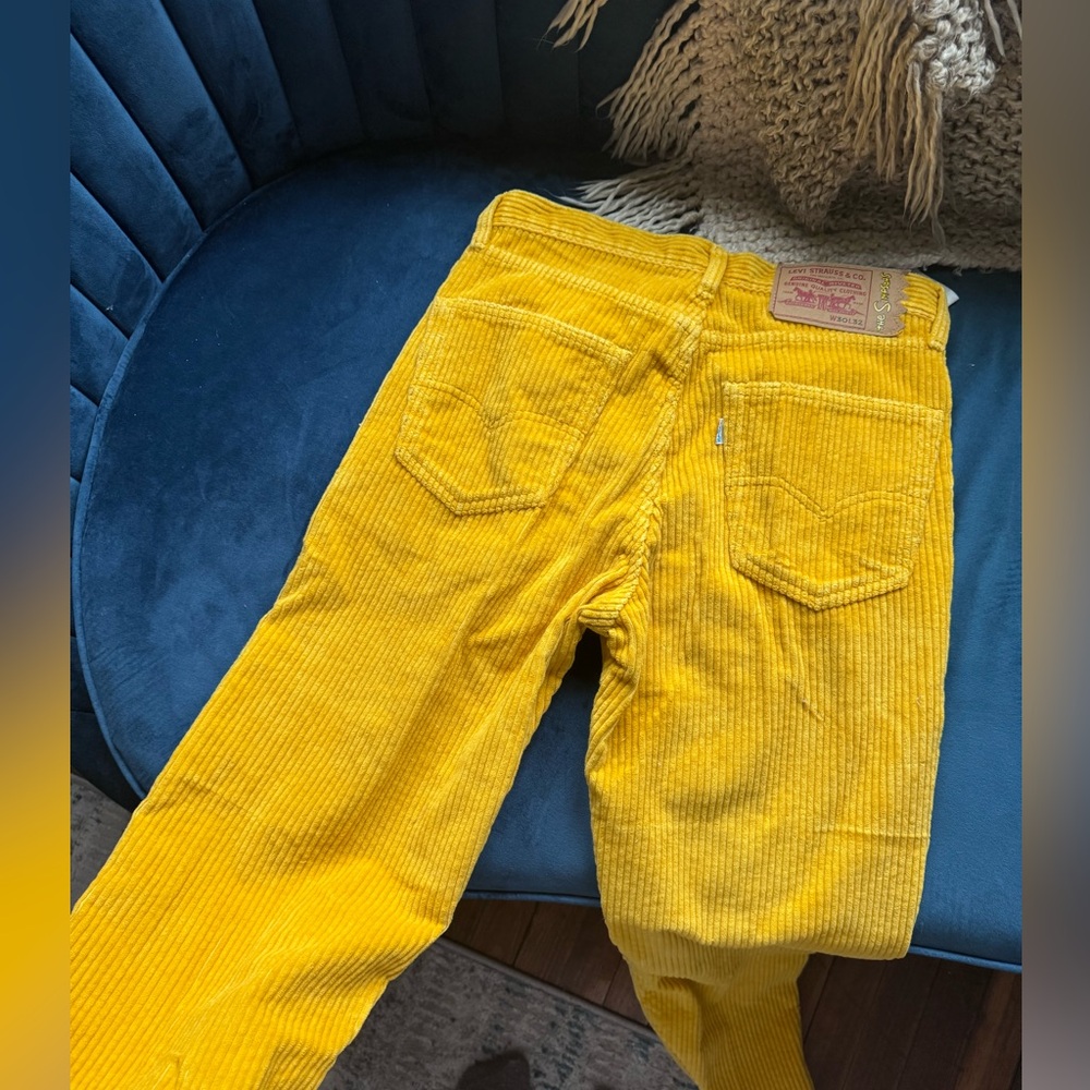 Simpsons X Levi Corduroy pants